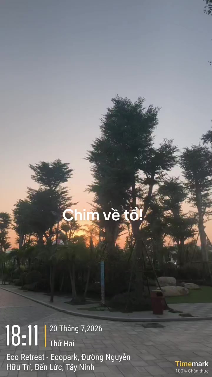 @PHỐ THƯƠNG MẠI