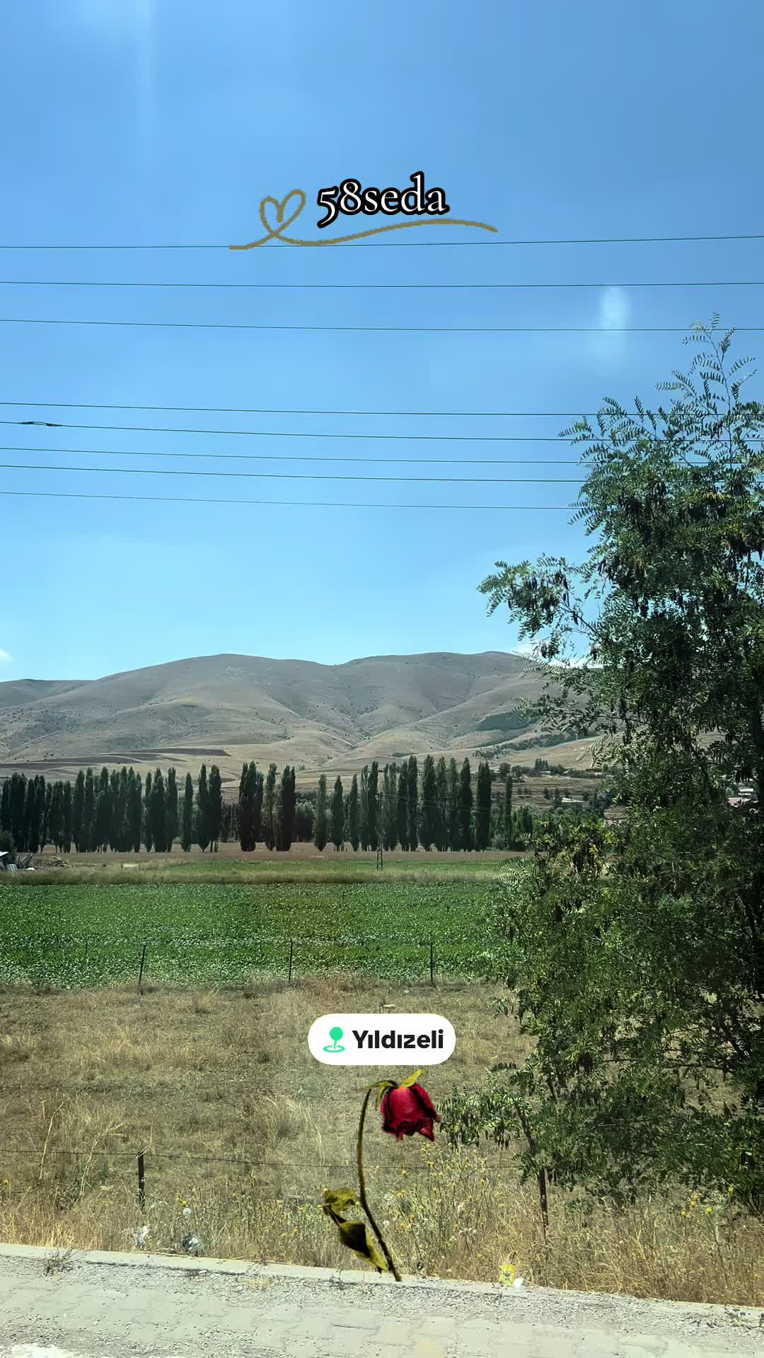 @58seda
