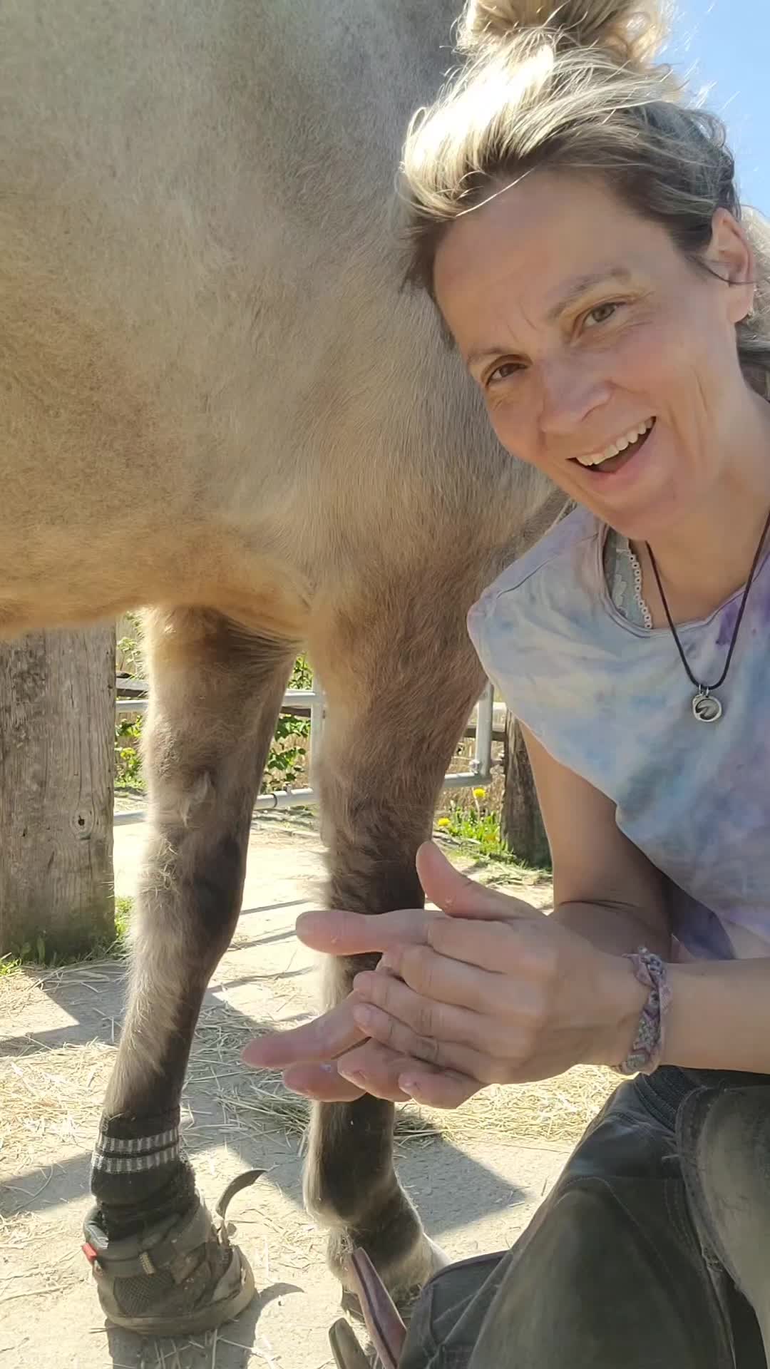 @skilly.hoof.hufpflege