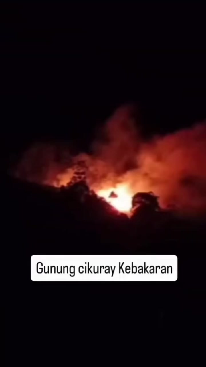 @asligarut___