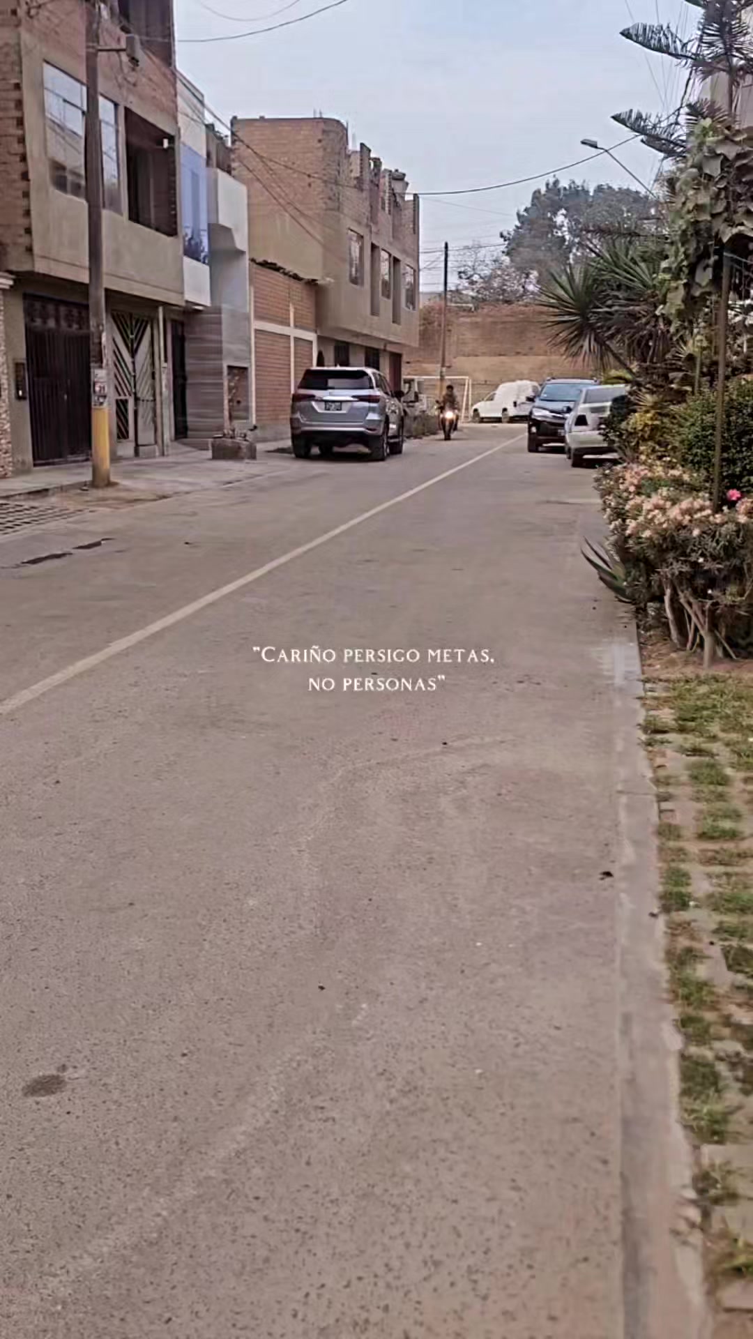 @RAYO NAVI GP