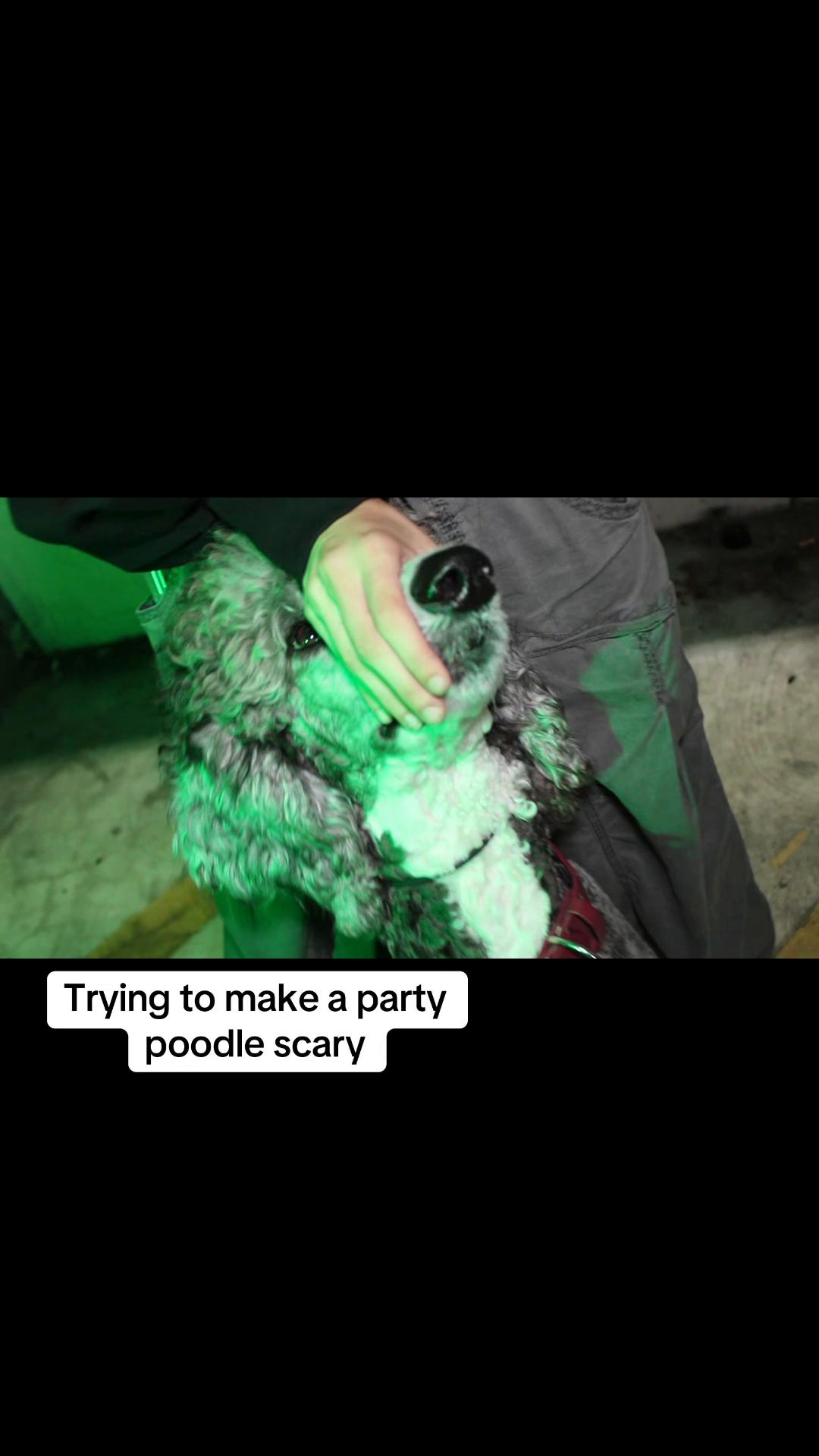 @JD