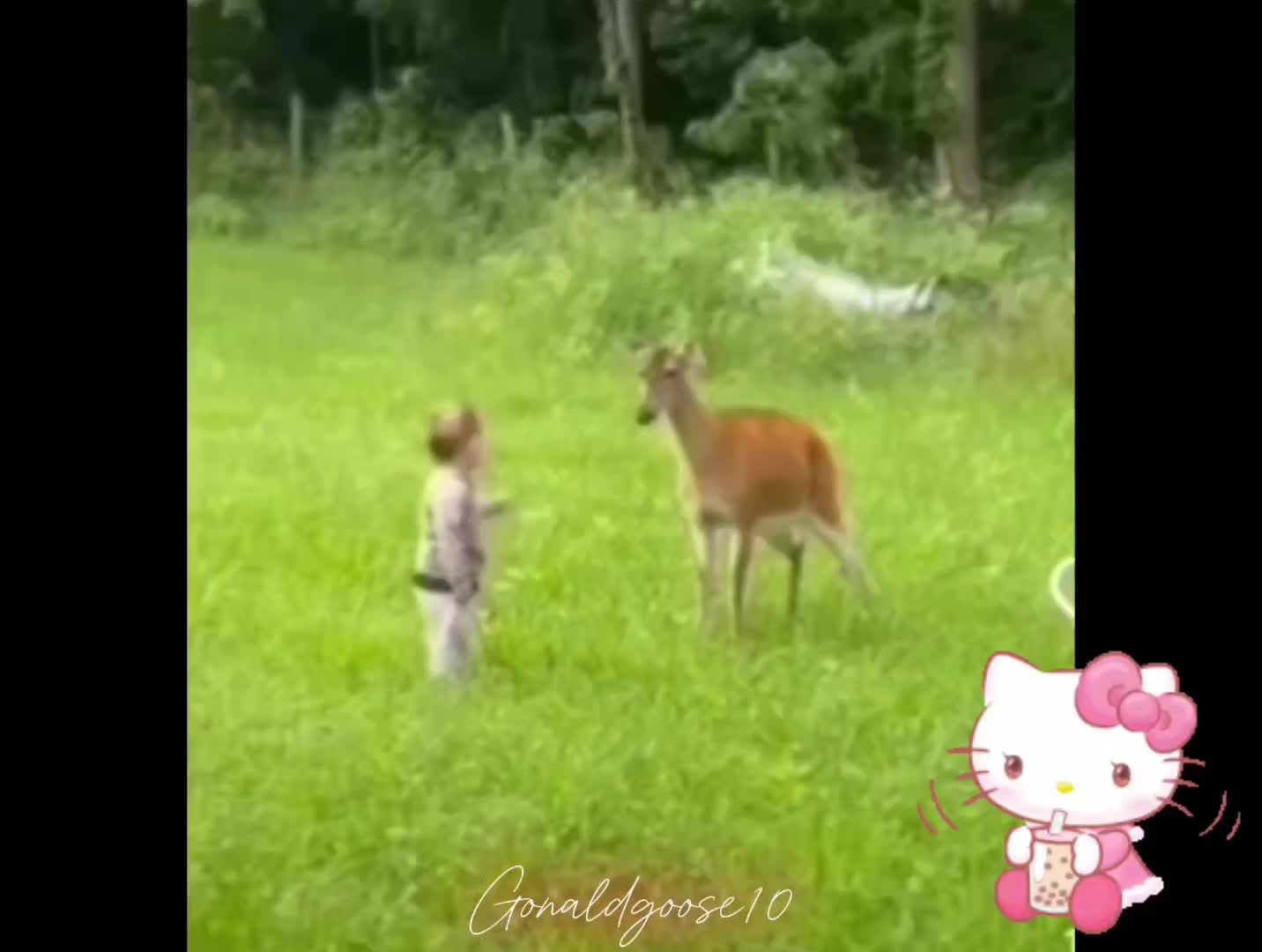 @Gonald Goose
