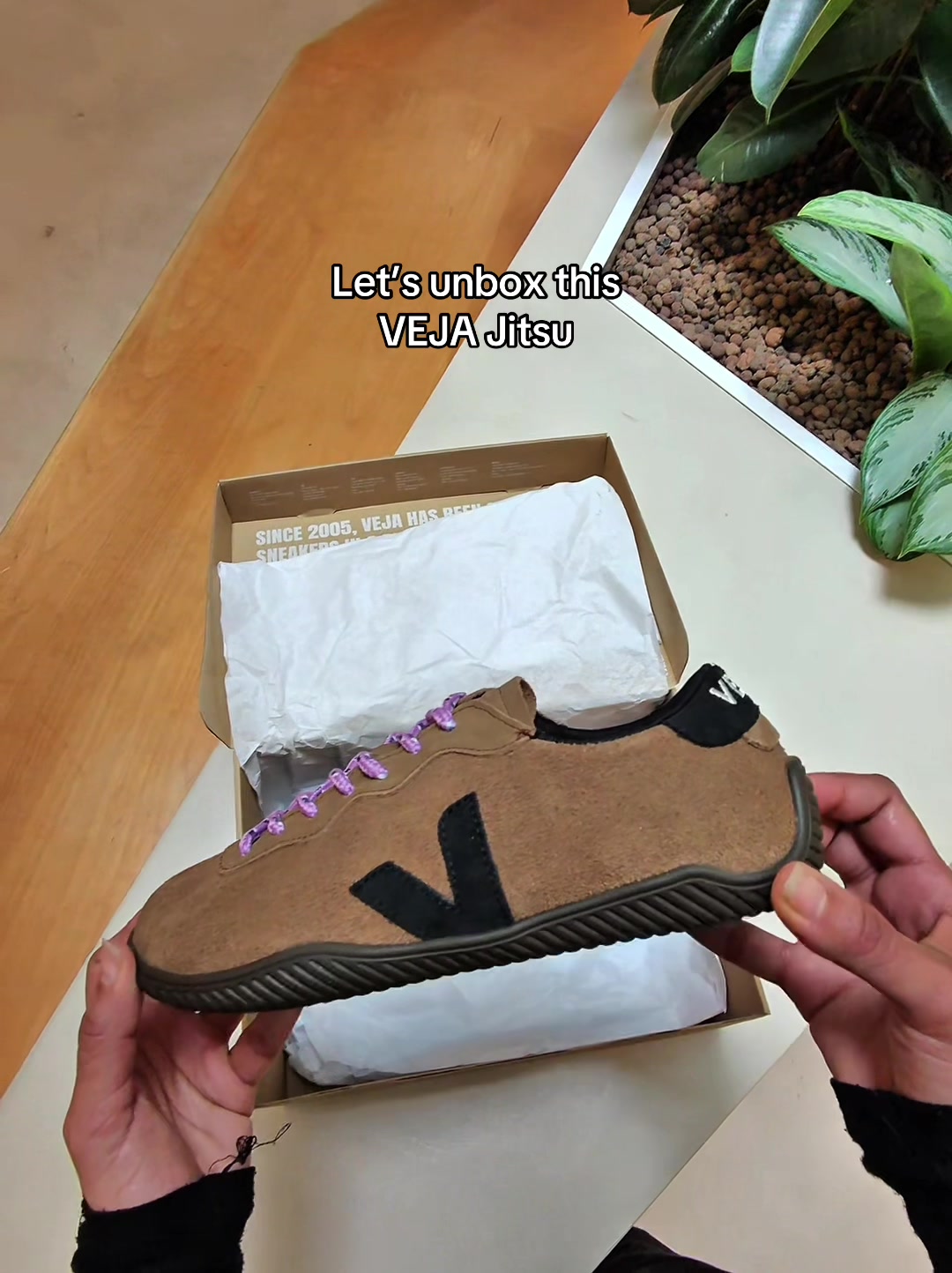 @Veja