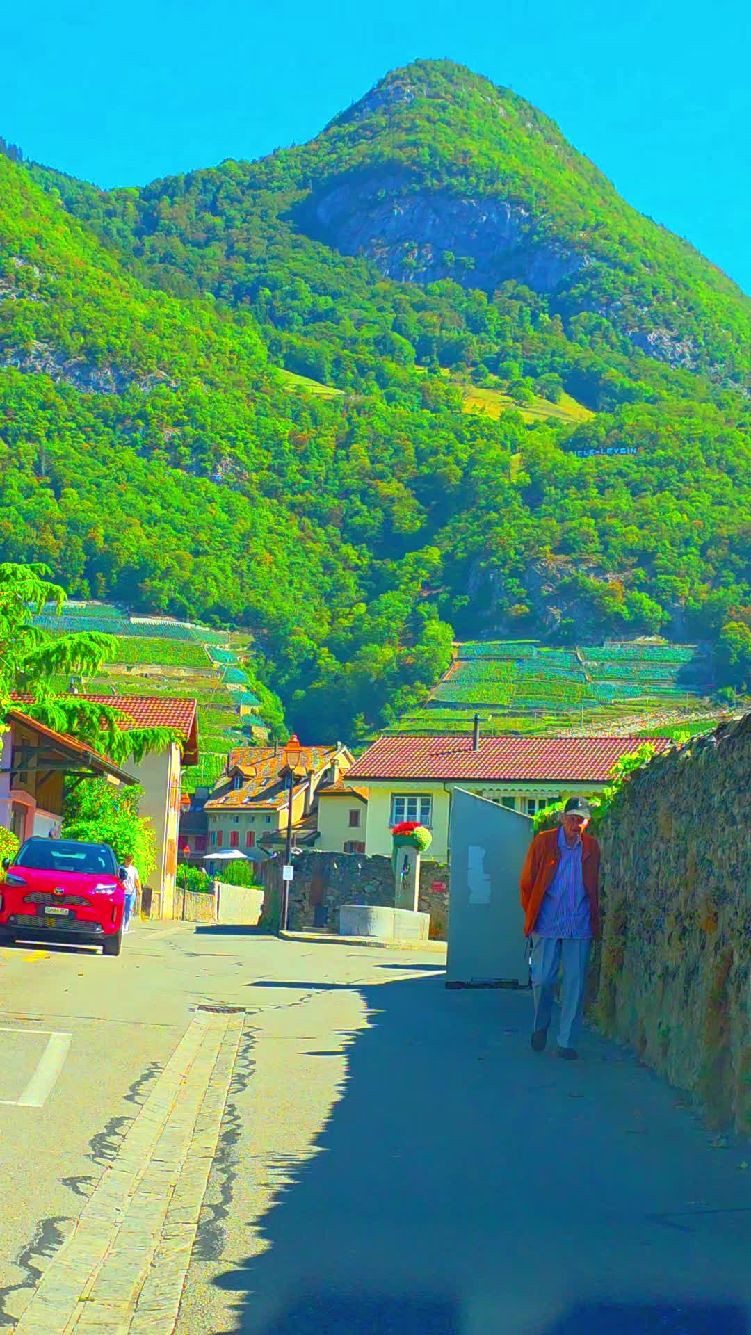 @🇨🇭flores Sérgio 🇵🇹