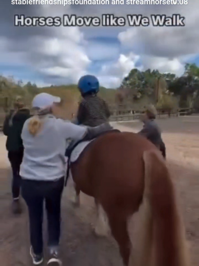 @streamhorse