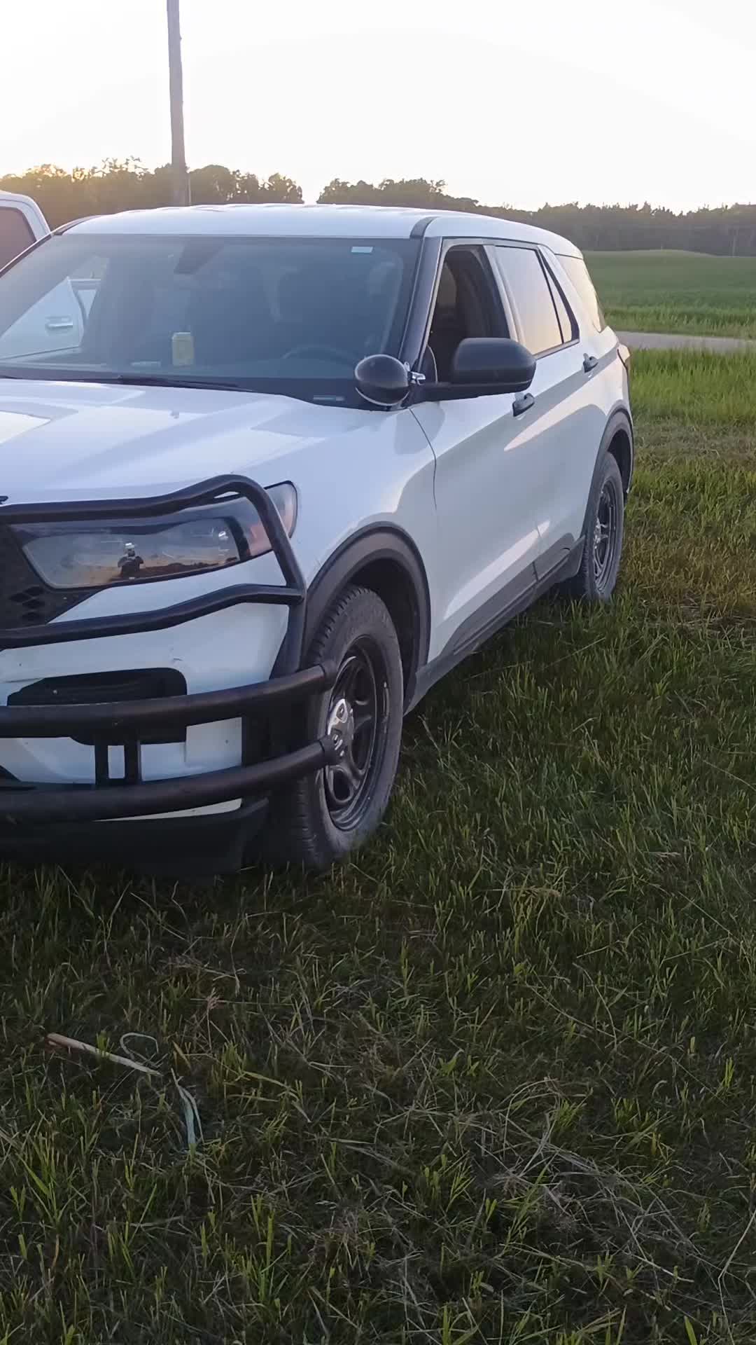 @daddy_securitystevie