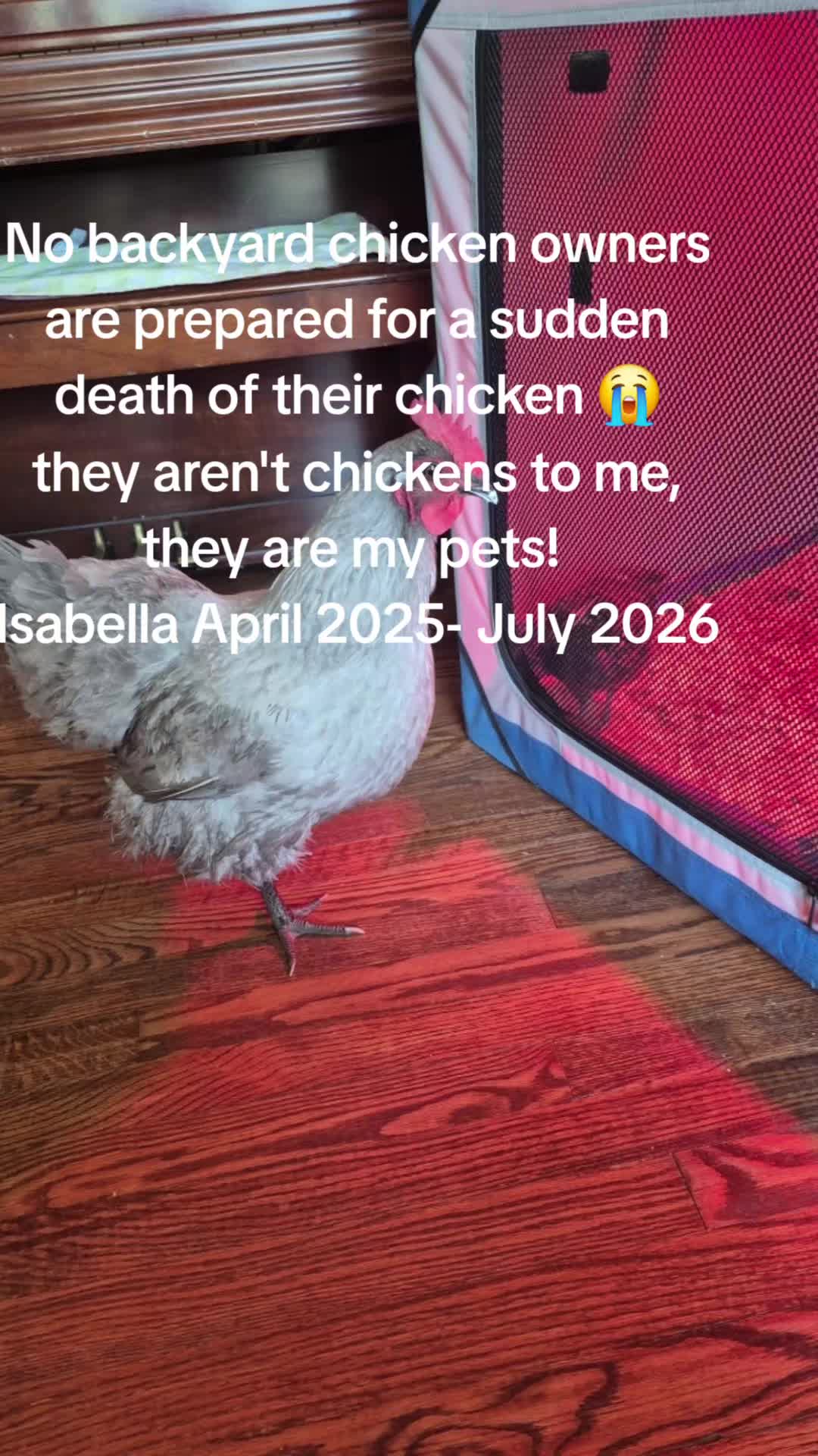 @✝️ChildofGod77✝️