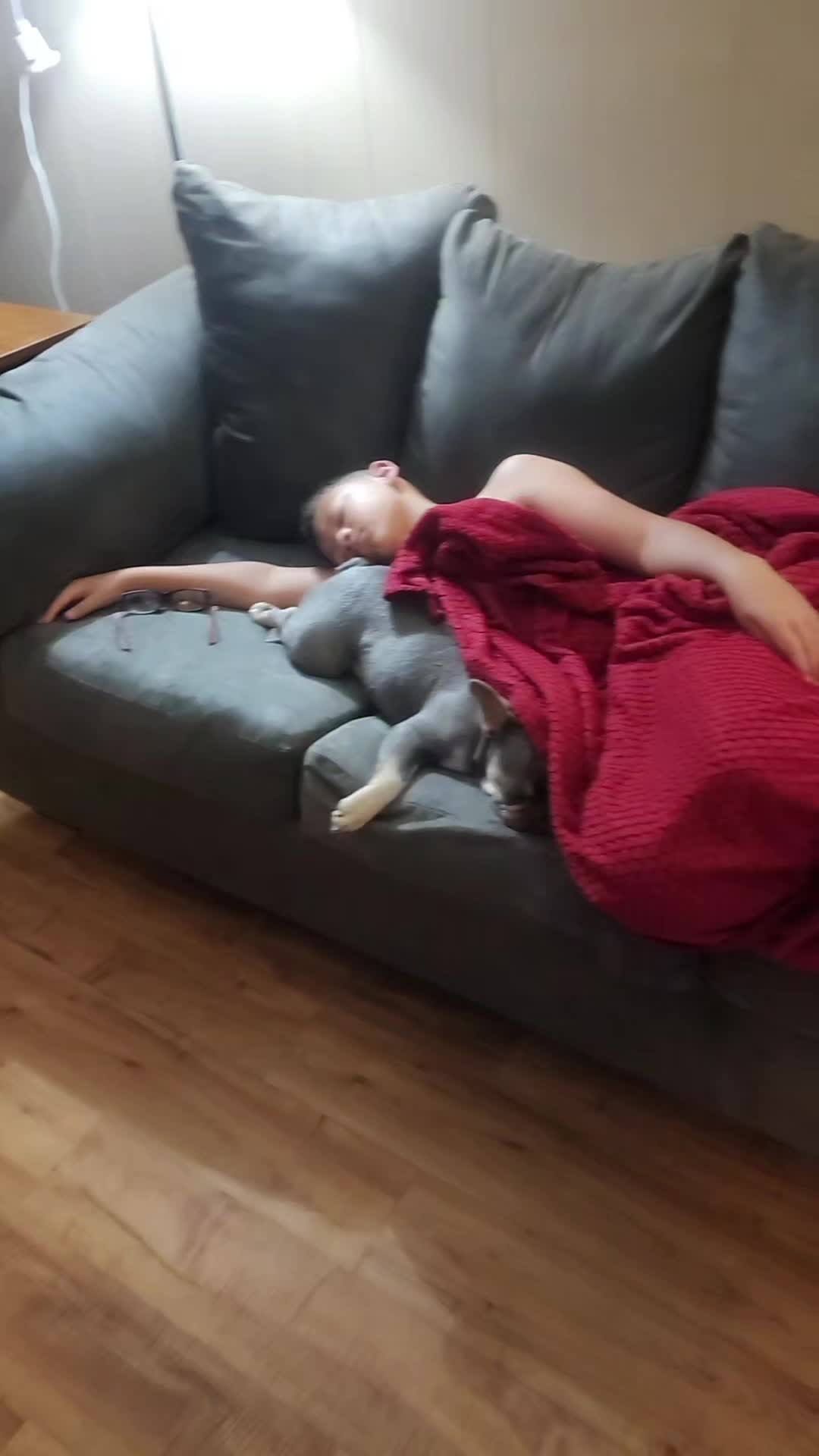 @Spicy Texas Chick