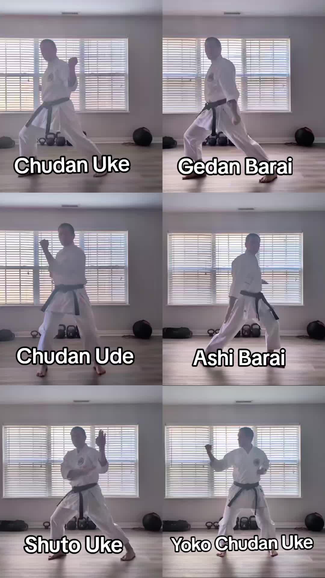 @Indy Seibukan