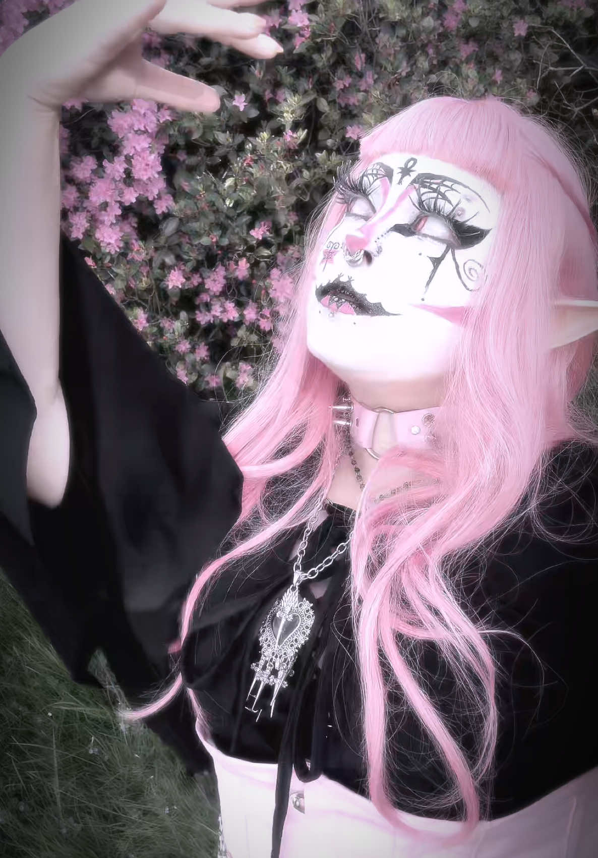 @⁺‧₊˚ ཐི⋆estrella⋆ཋྀ ˚₊‧⁺