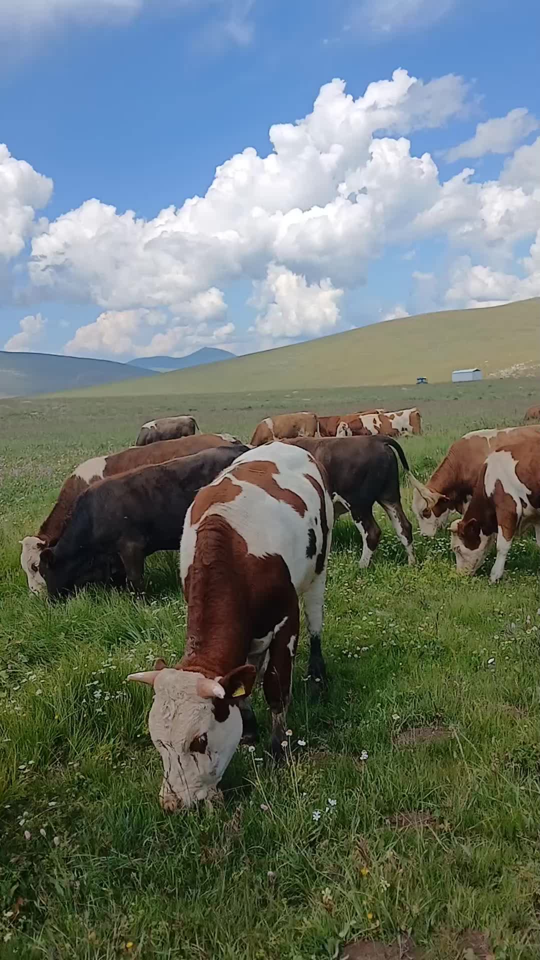 @Gökhan Çoban