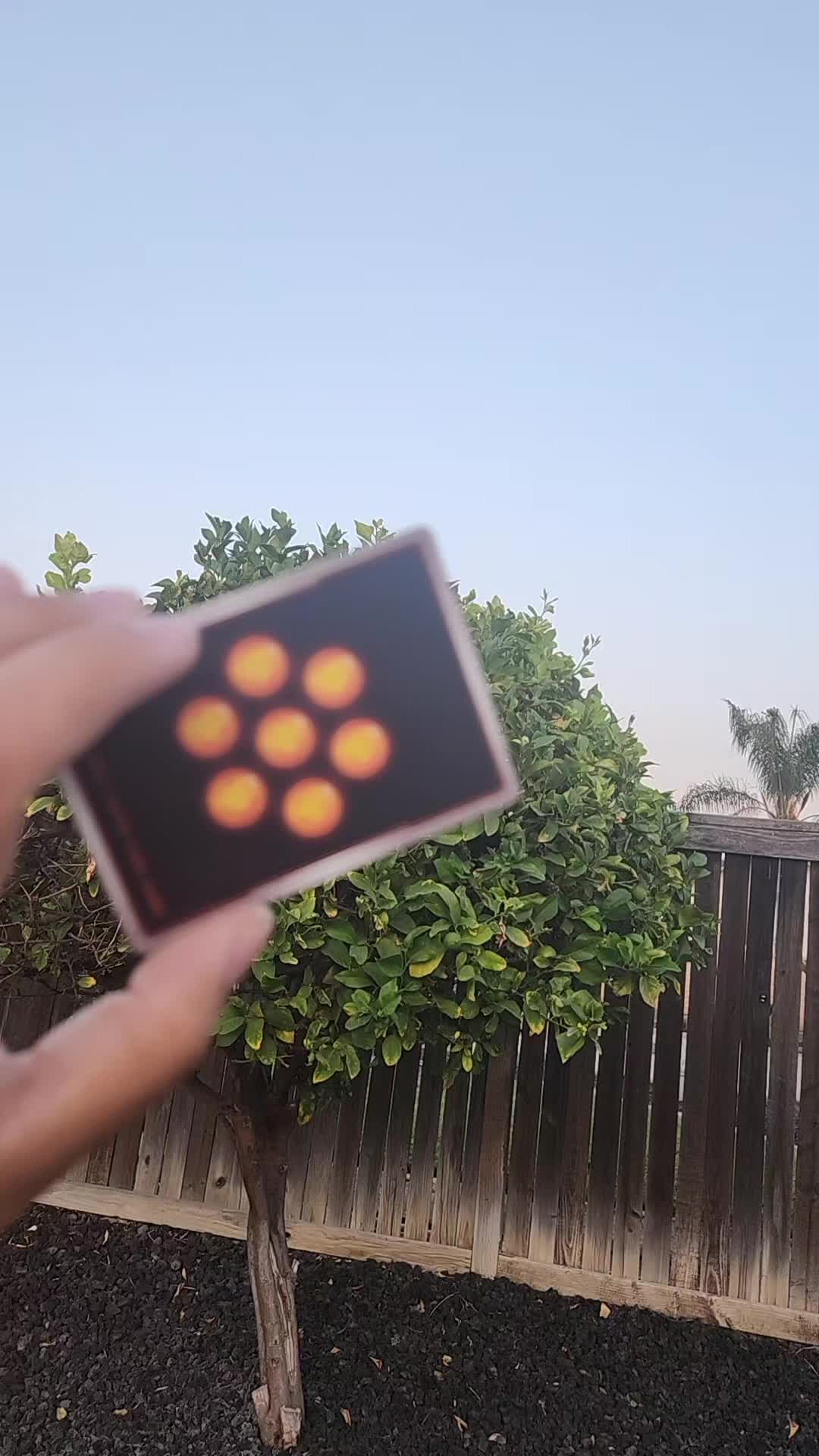 @Thecaliforniacardhog_tcg