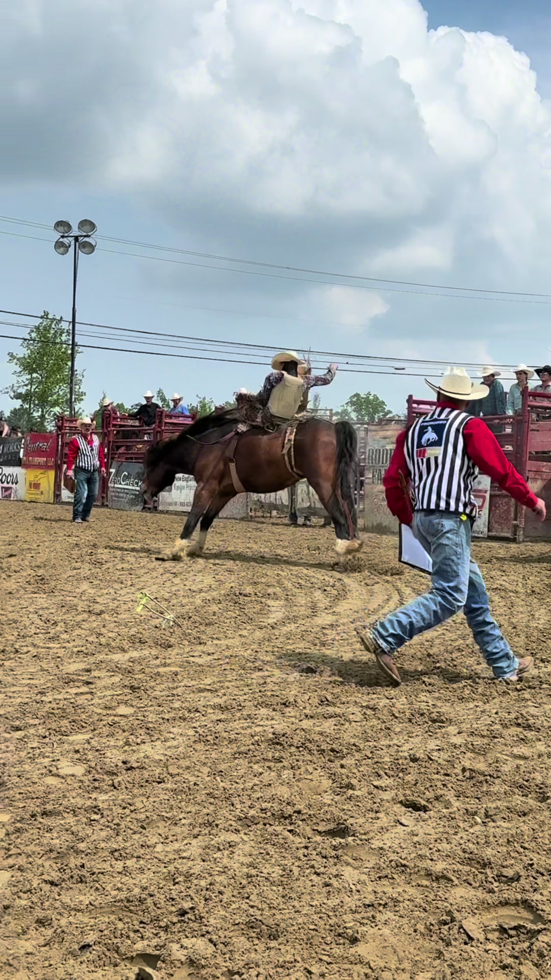 @Goshen Stampede