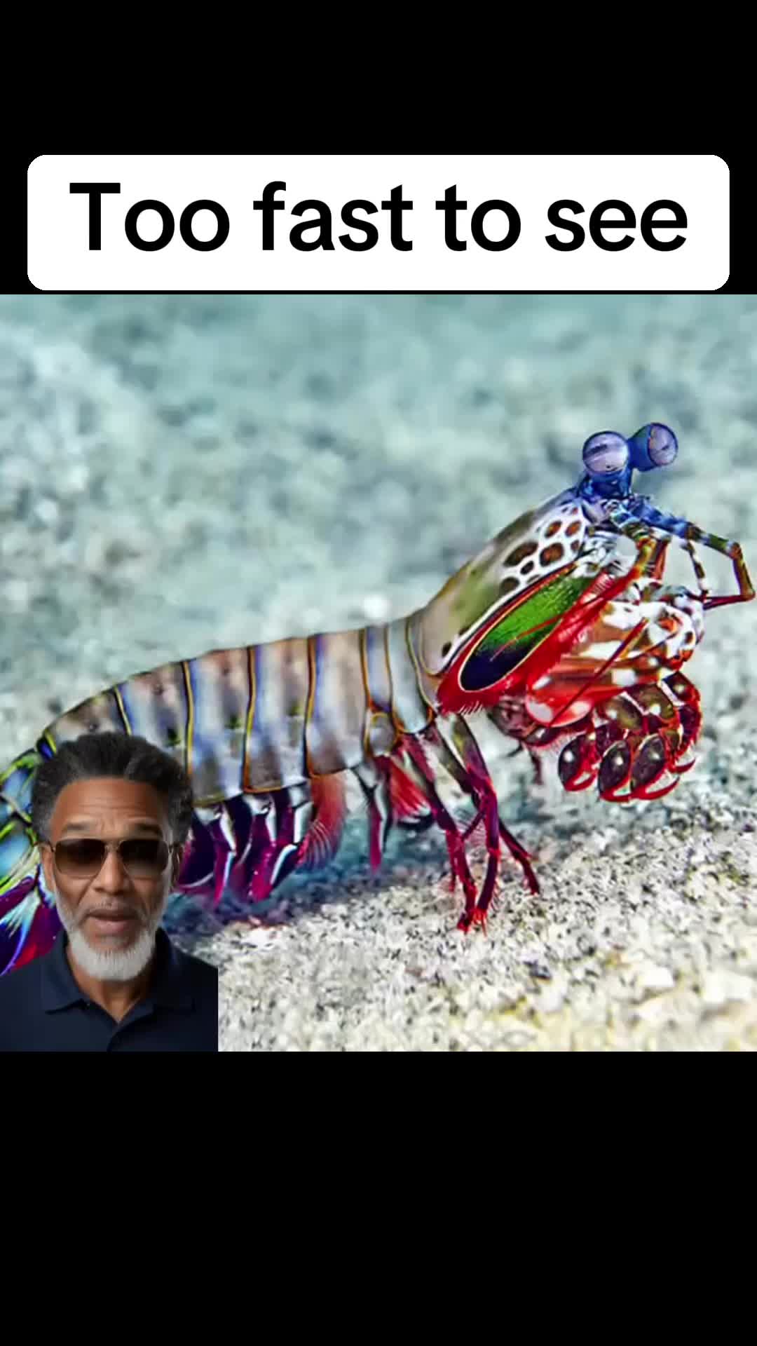 @Fishscaleous