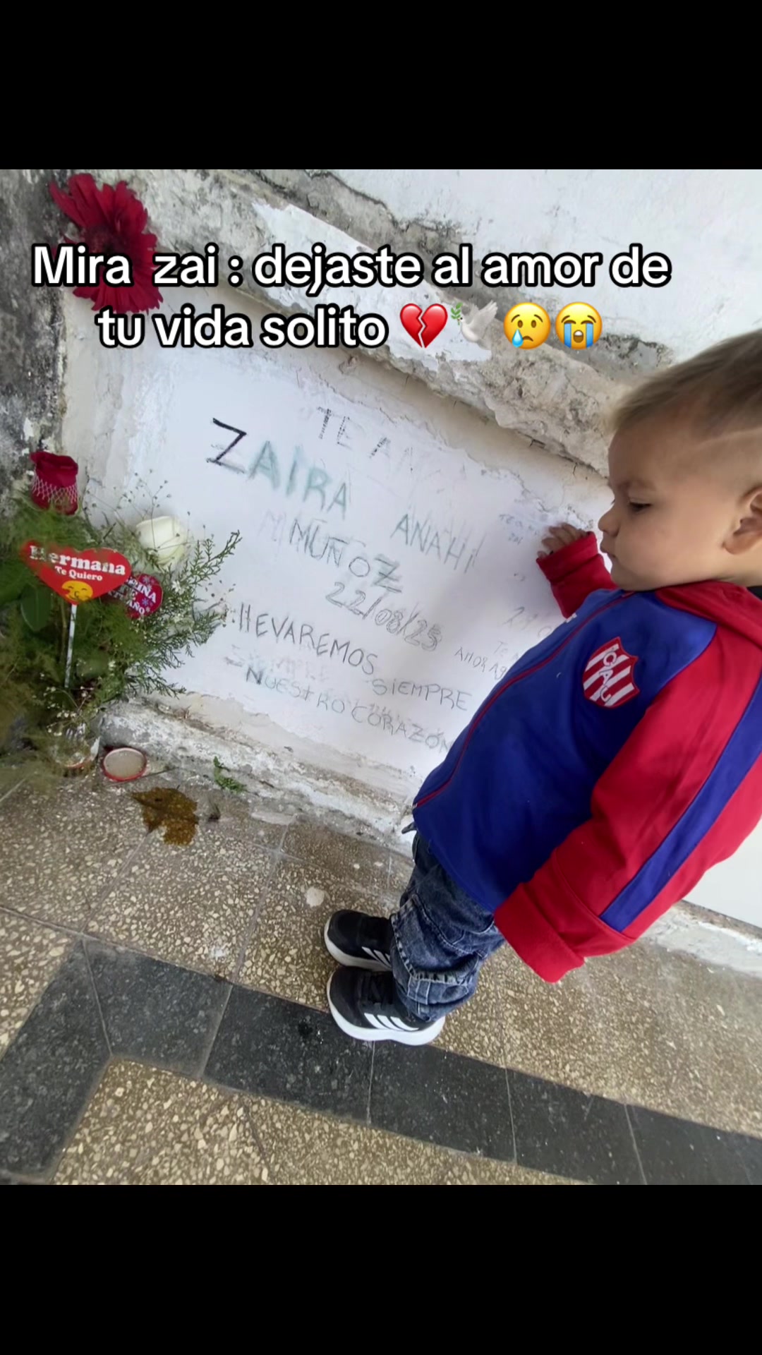 @giane_zaii15