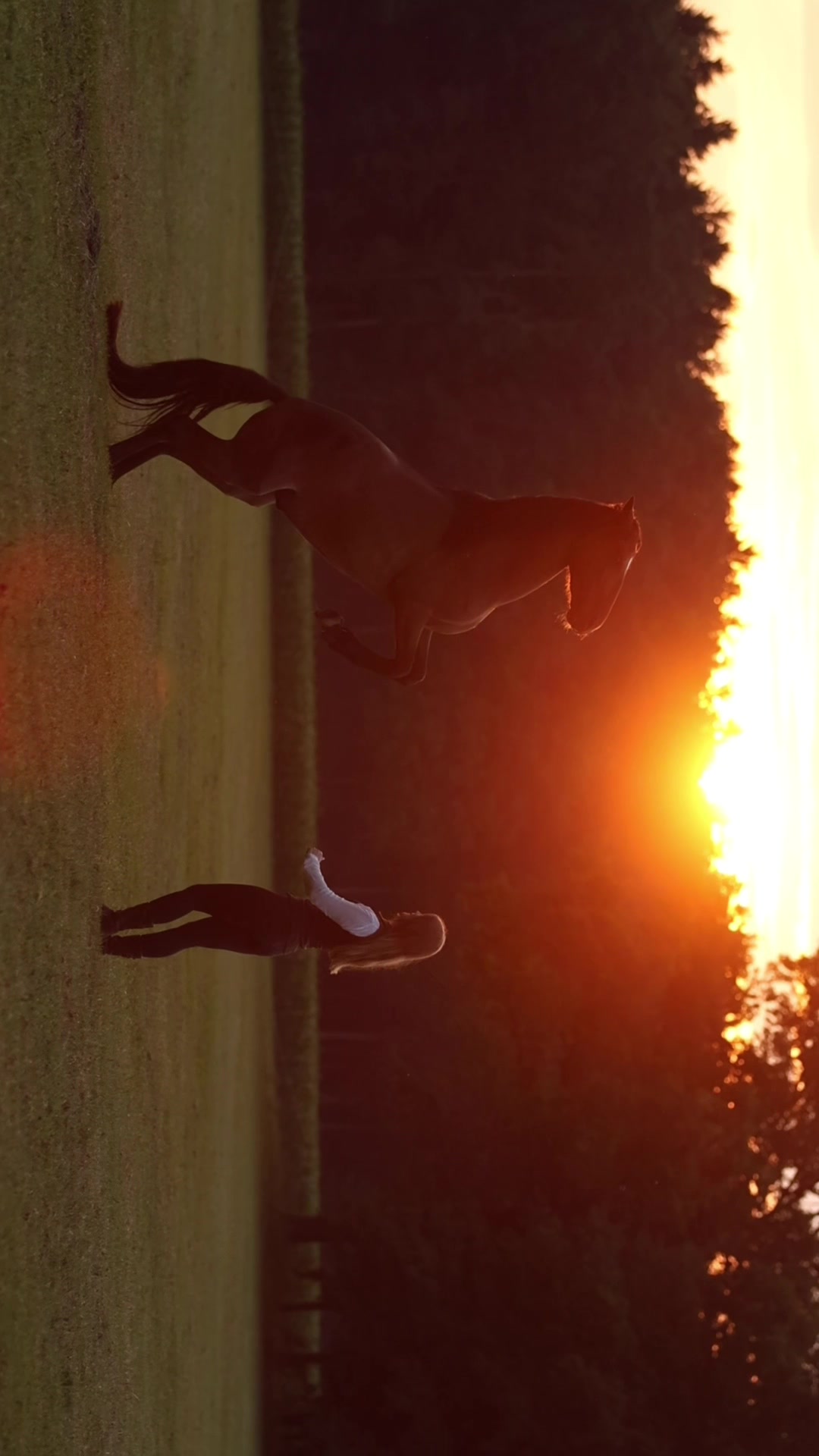 @FieryHorses ❤️&zwj;🔥
