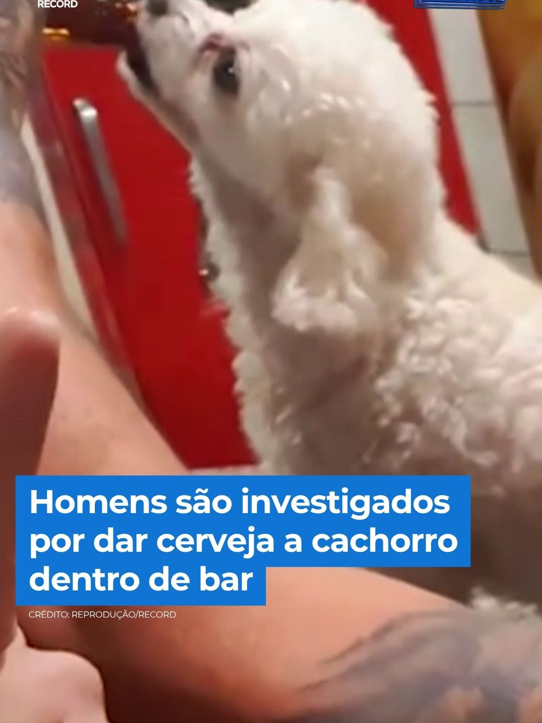 @Balanço Geral