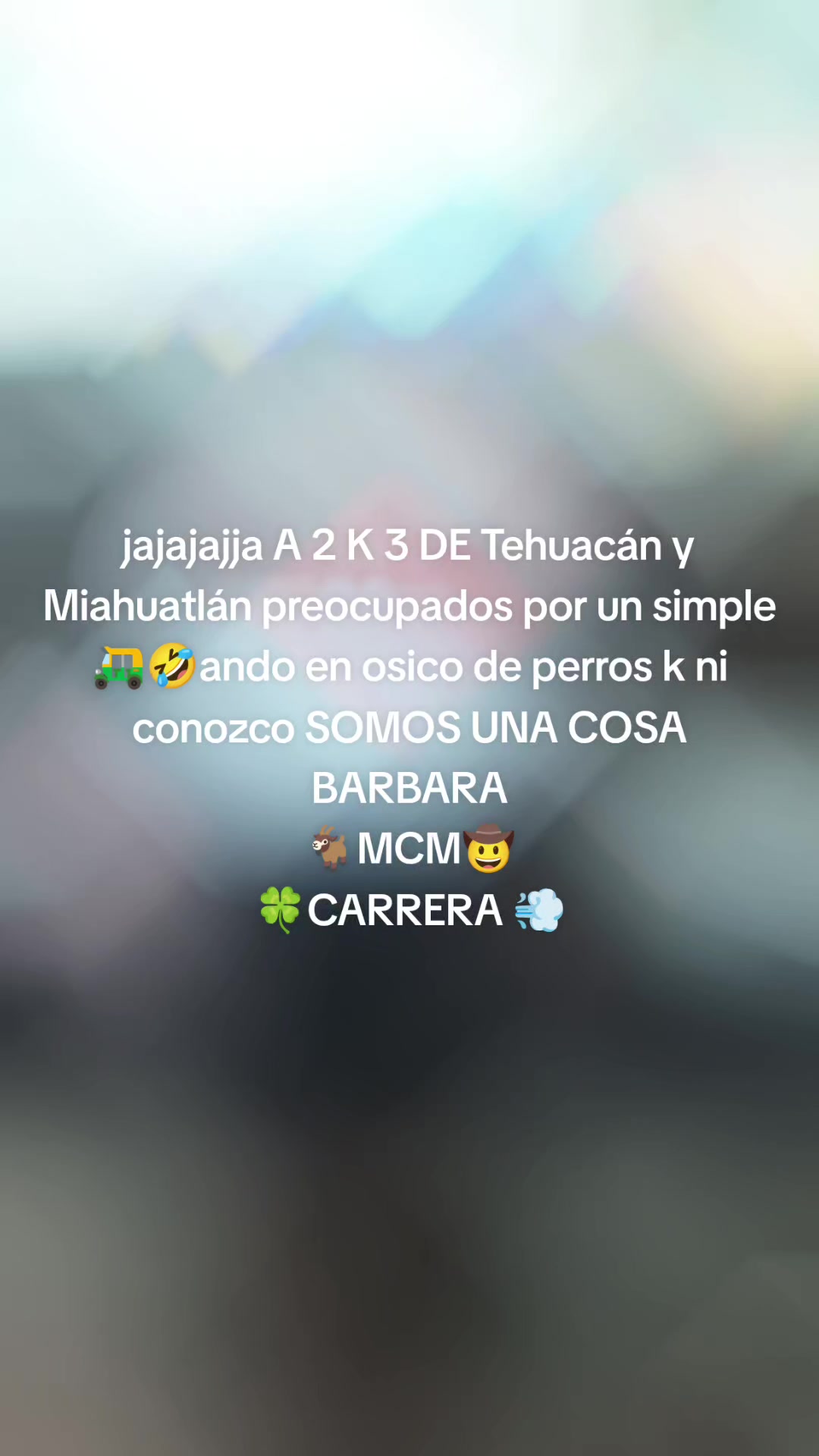@mariocarrera966