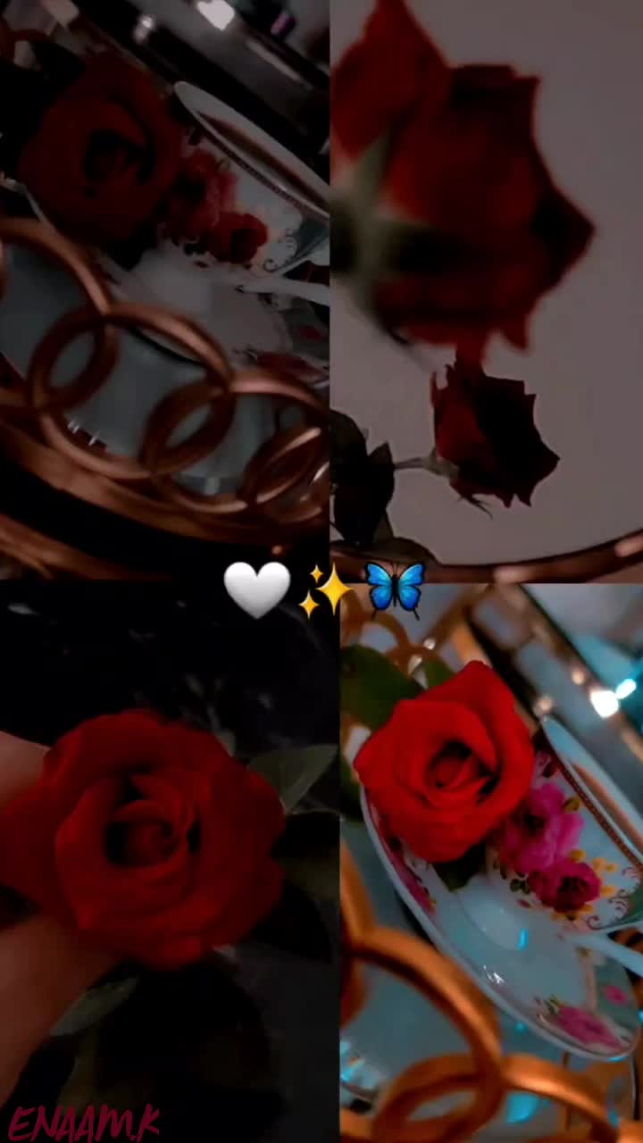 @مزاجـᬼ👑⑅⃝ـᬼـيـة::