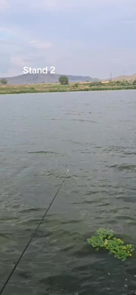 @Balta Turcoaia
