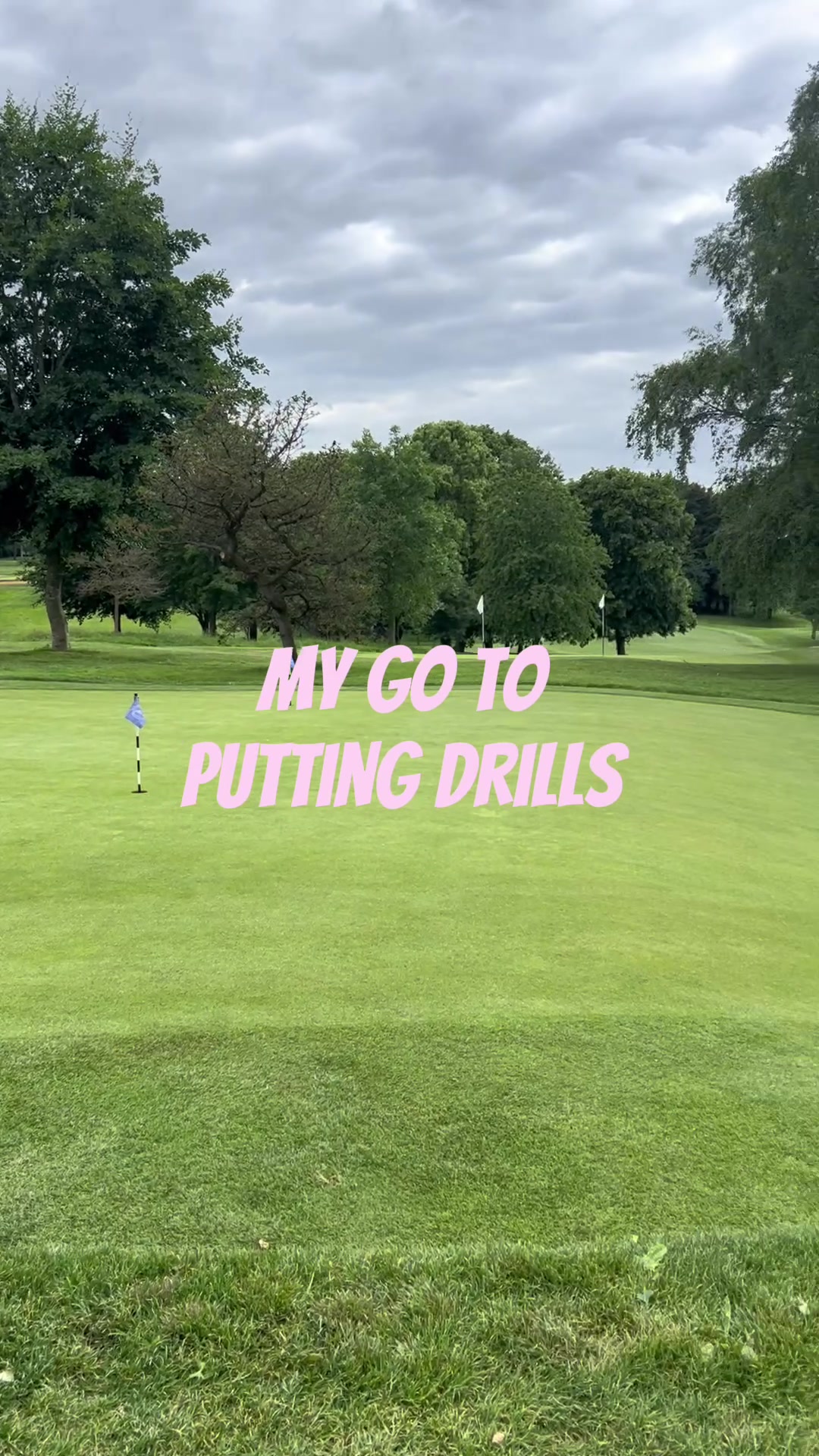 @hollywaterfieldgolf