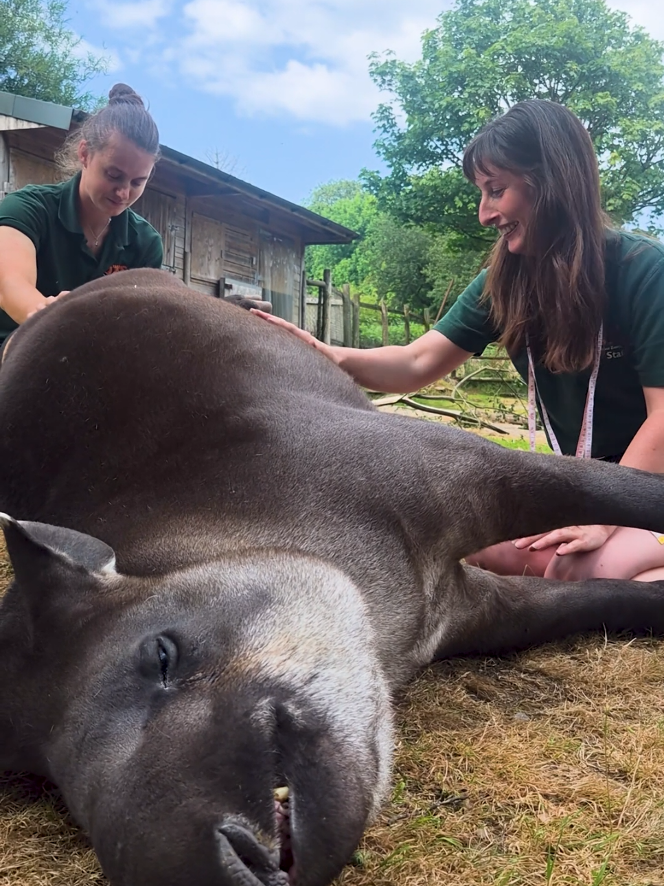 @Dartmoor Zoological Society
