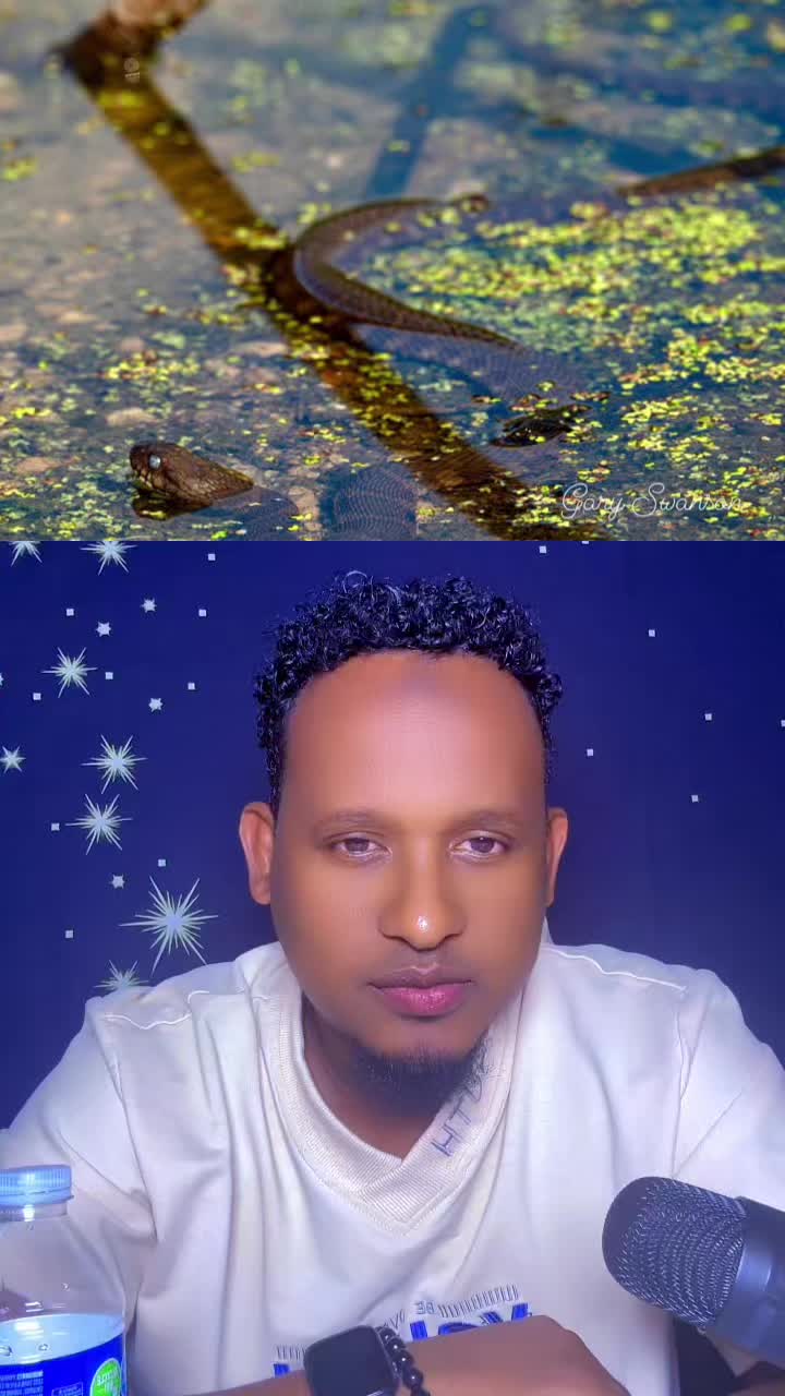 @gacal_yarre