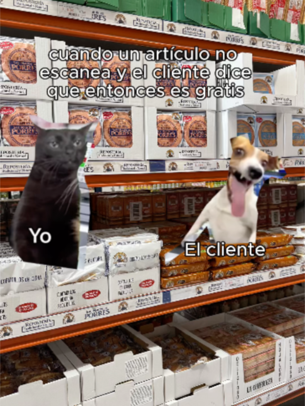 @Confisur