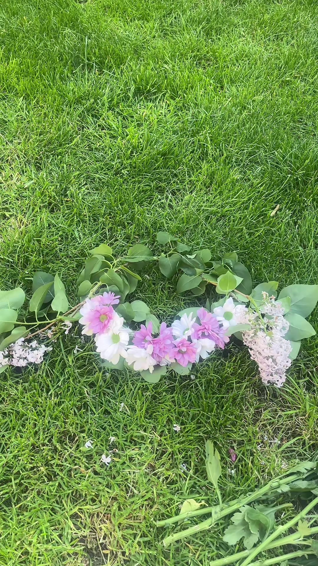 @summer daisy