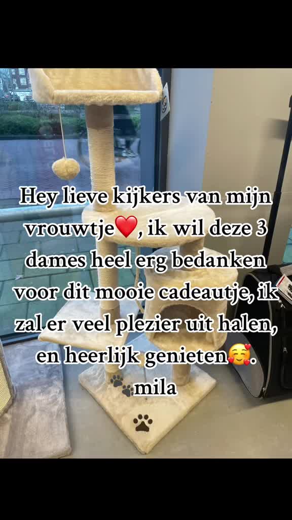 @꧁❤️𝒦𝓇𝒾𝓈𝓉ℯ𝓃❤️꧂