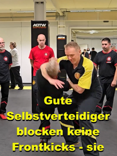 @Sifu Martin Hofmann