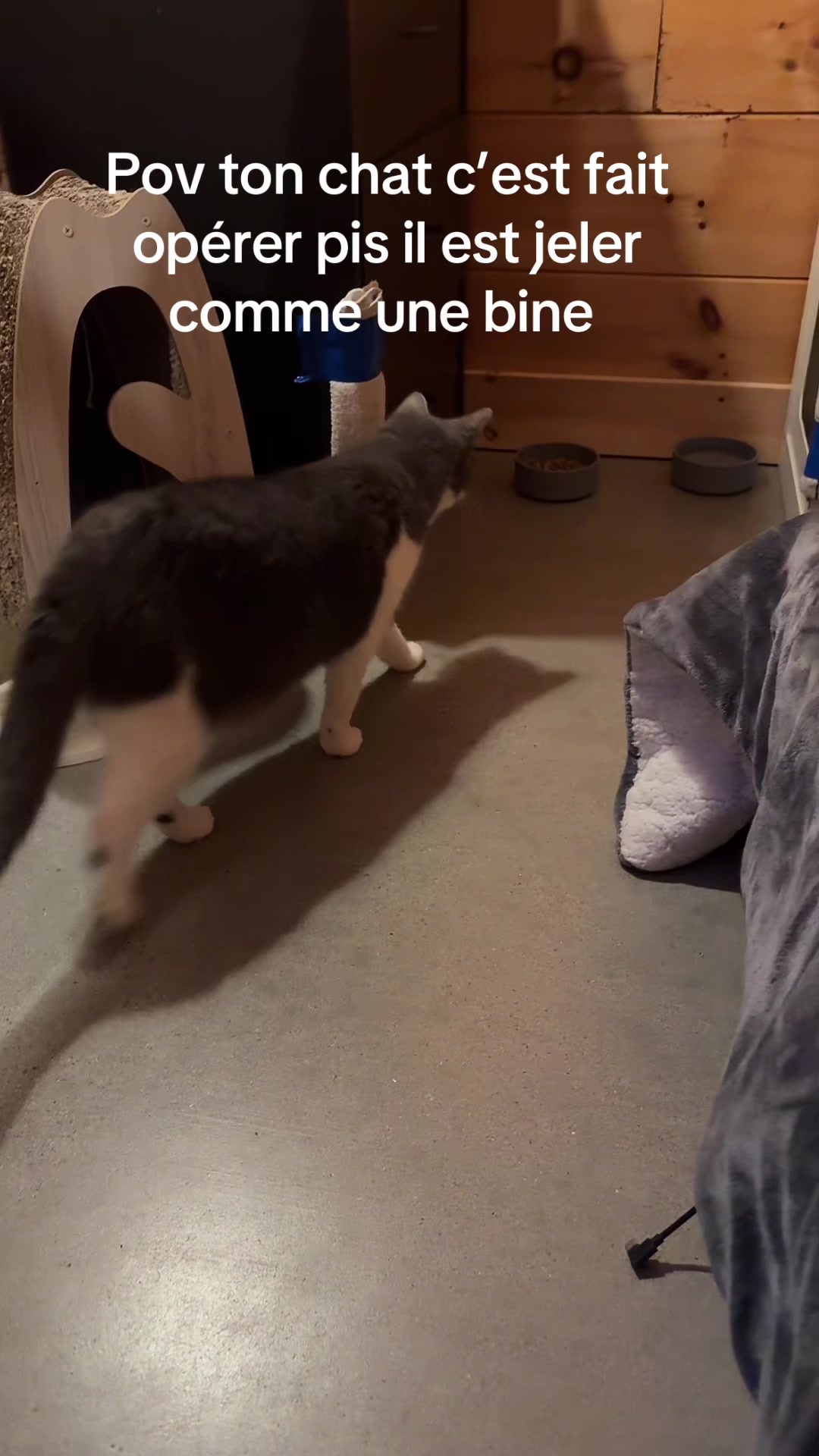 @Yanlap