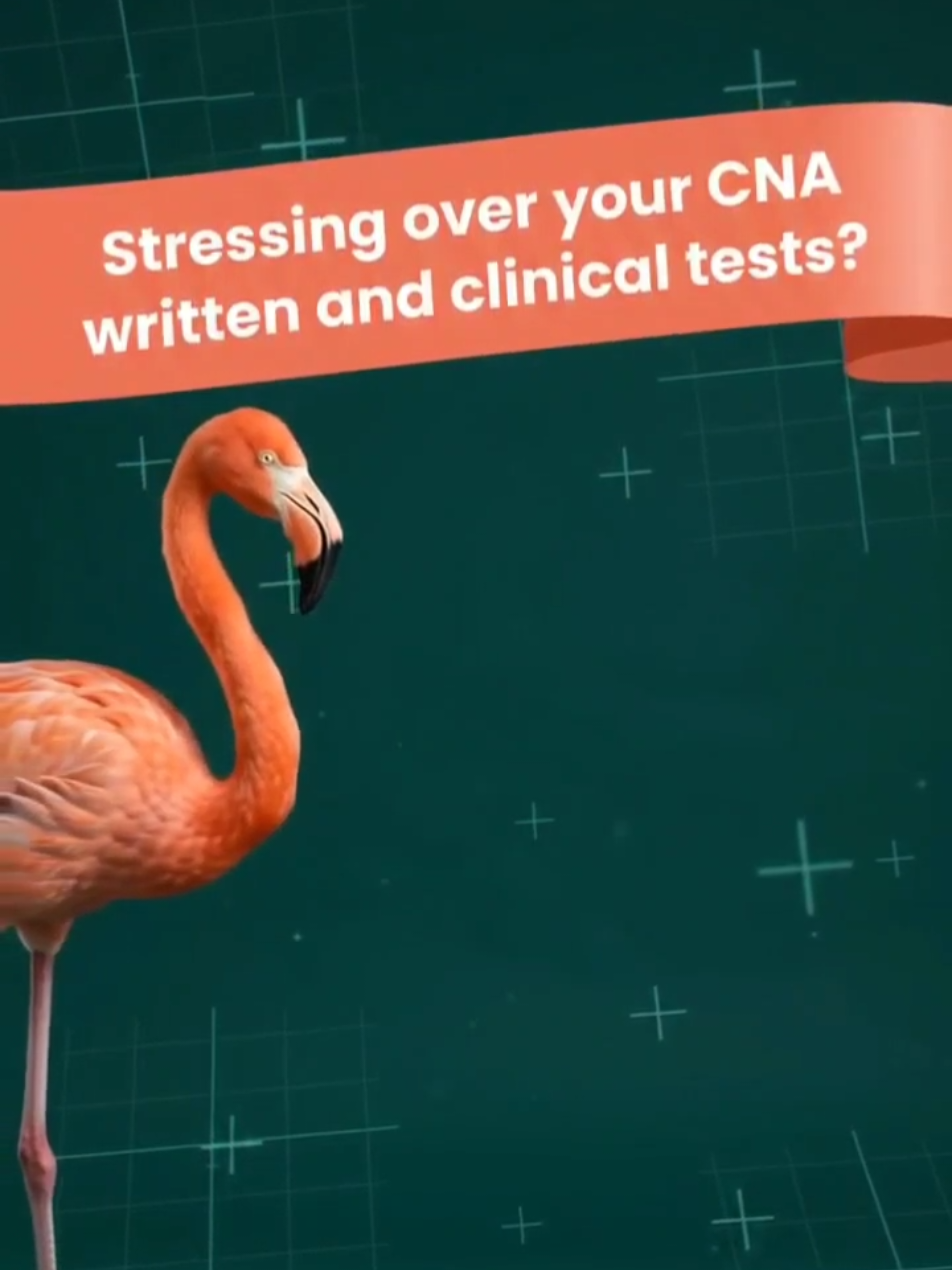 @Academic Mentors