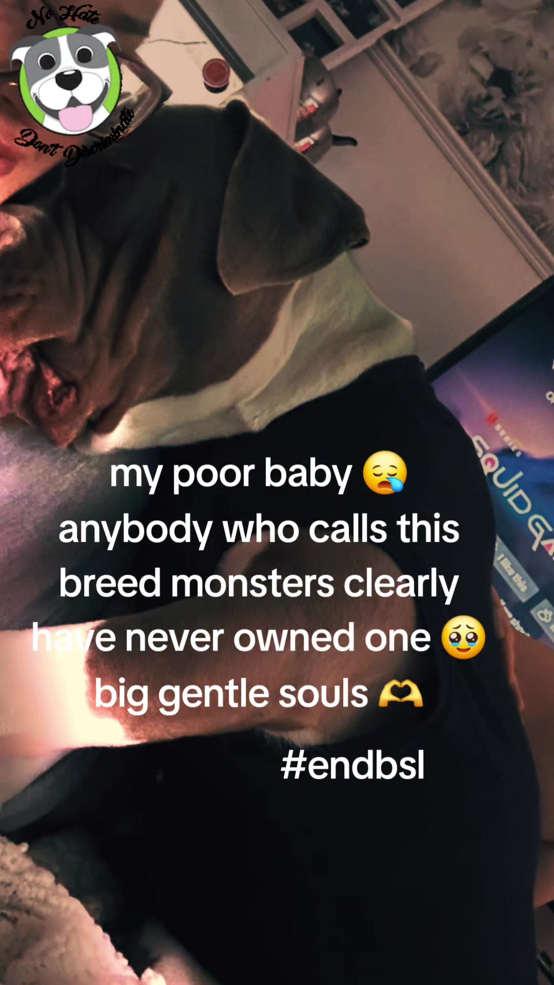 @mybullysandme🐶🇬🇧 (kelly)