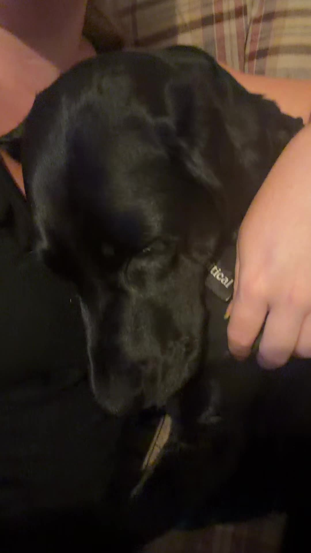 @Penny 🧡 Luna