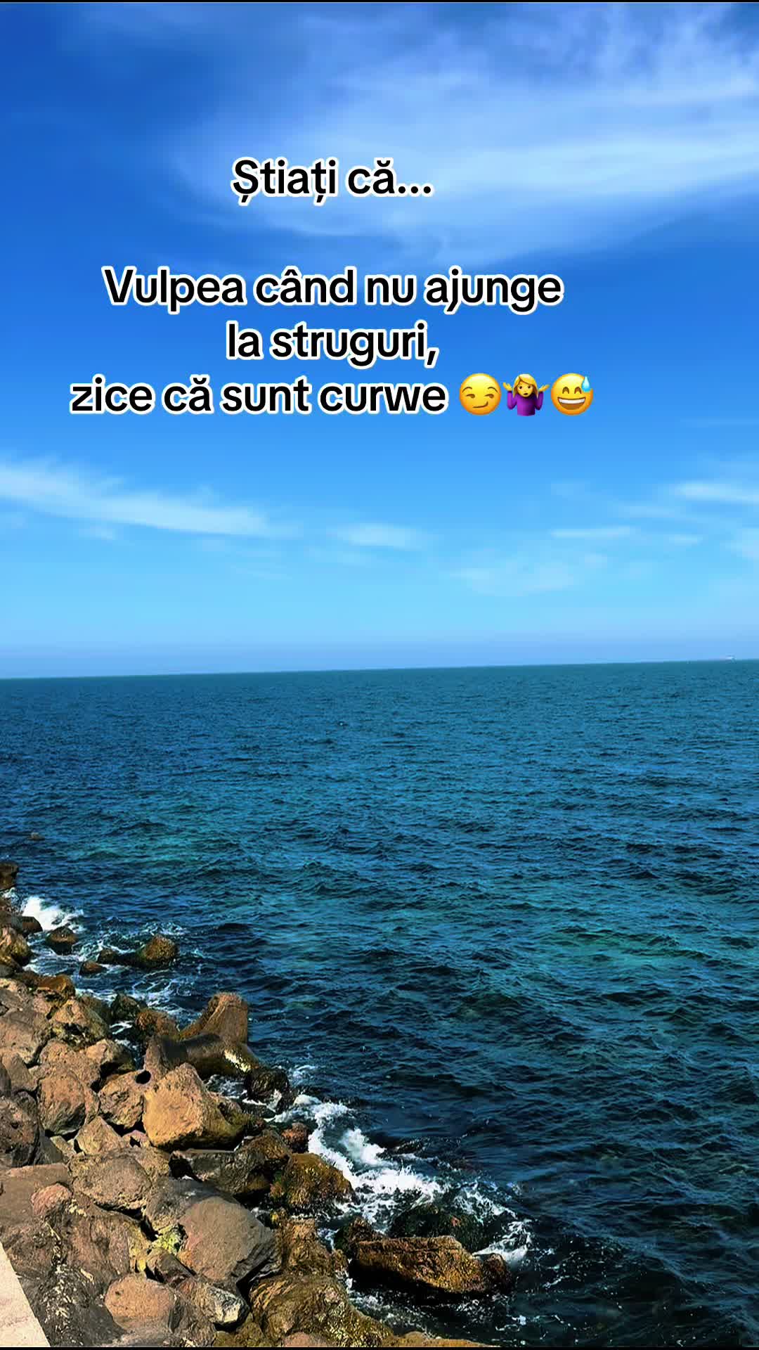 @Annemarie 💜