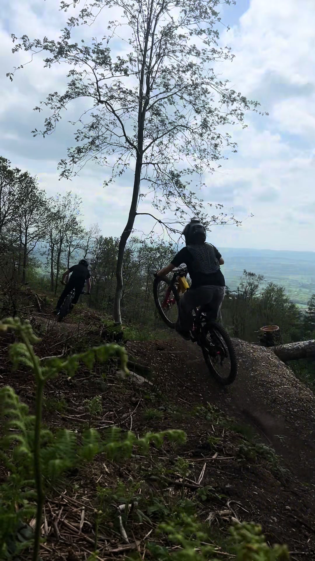 @perilmtb