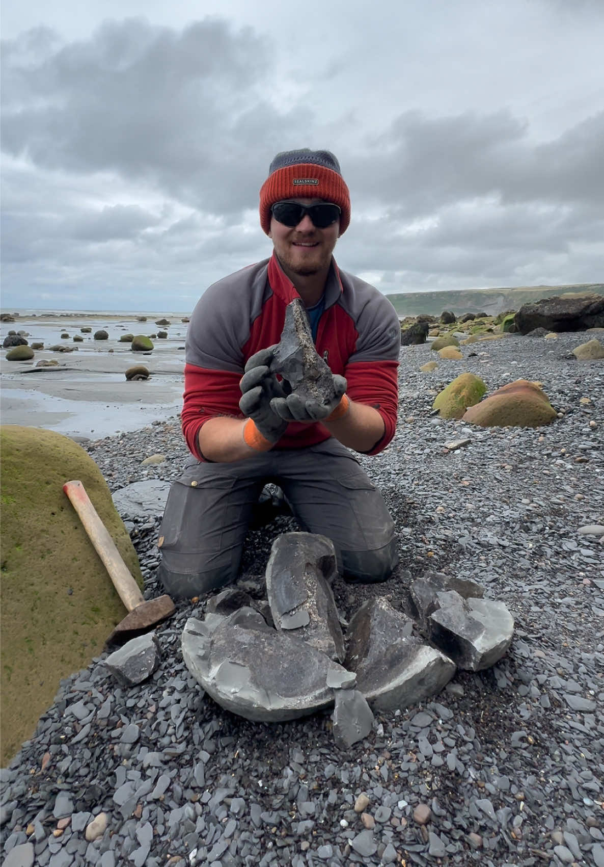 @yorkshire.fossils