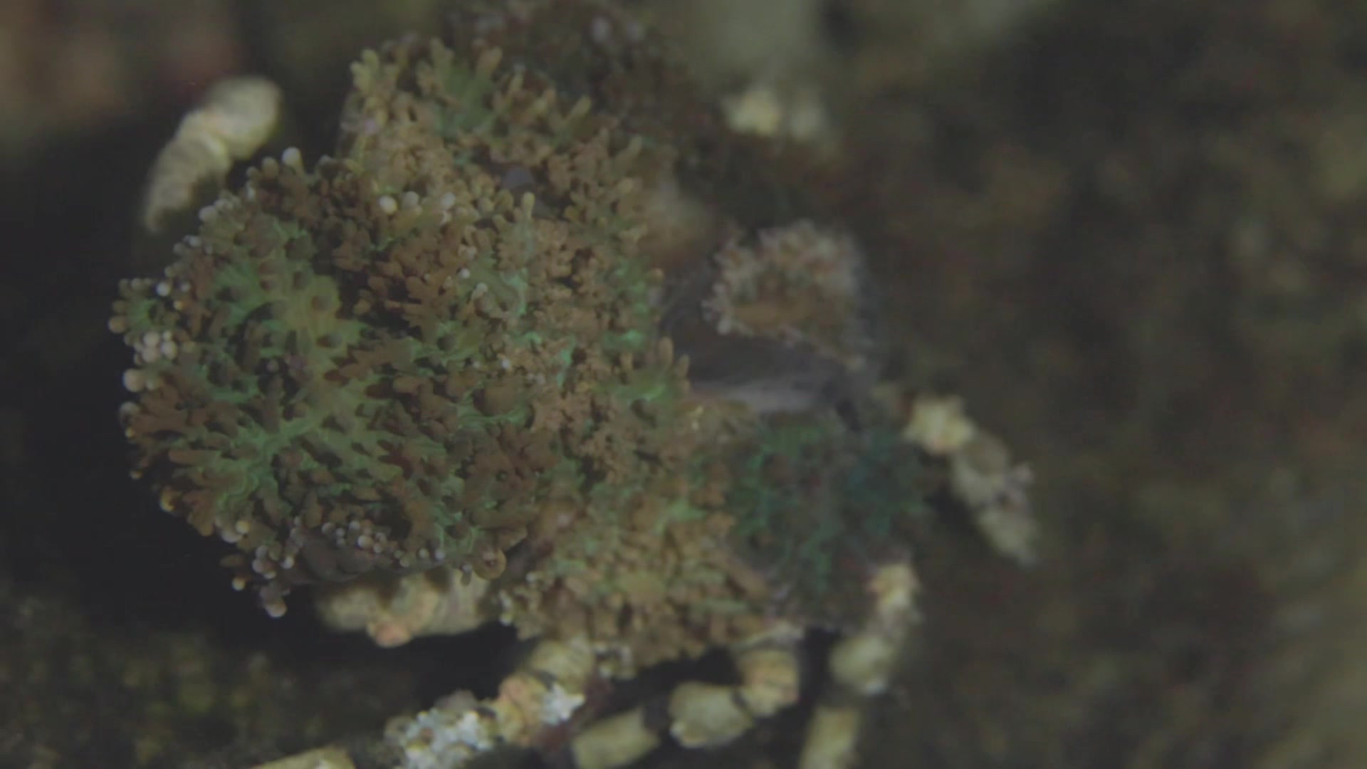 @Diving Tips and Stories