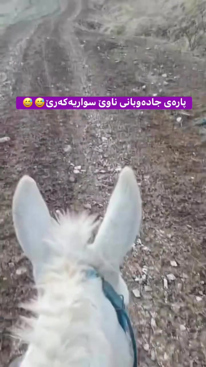 @بێــتا قــه تى