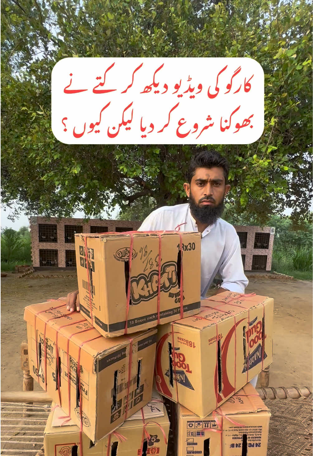 @Poultry Markaz