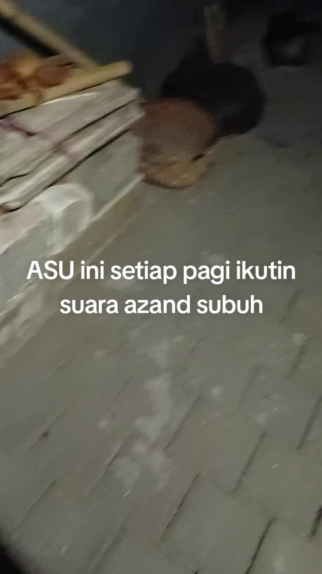 @Gusti Guniati