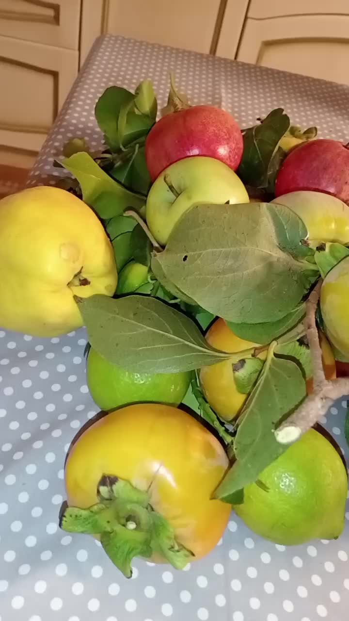 @Maria Agata