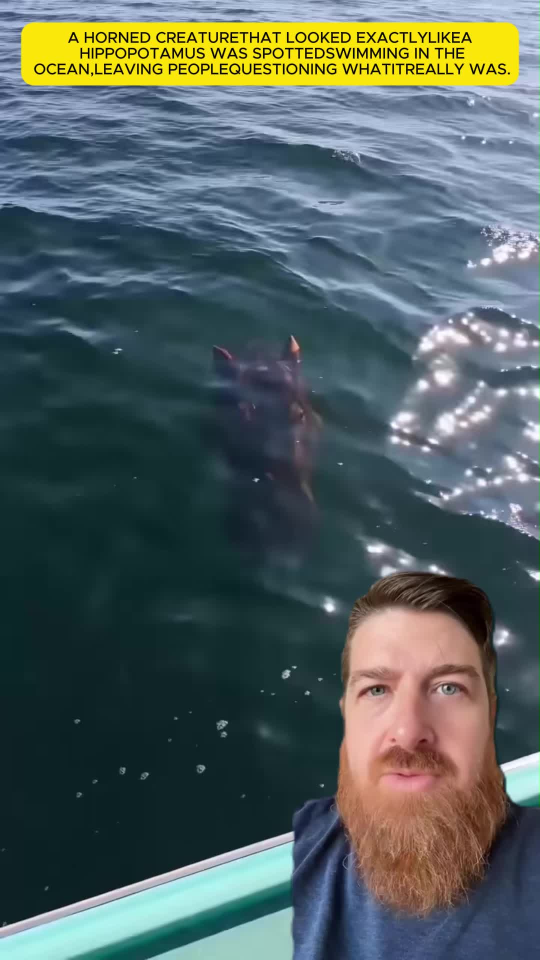 @rtgf69