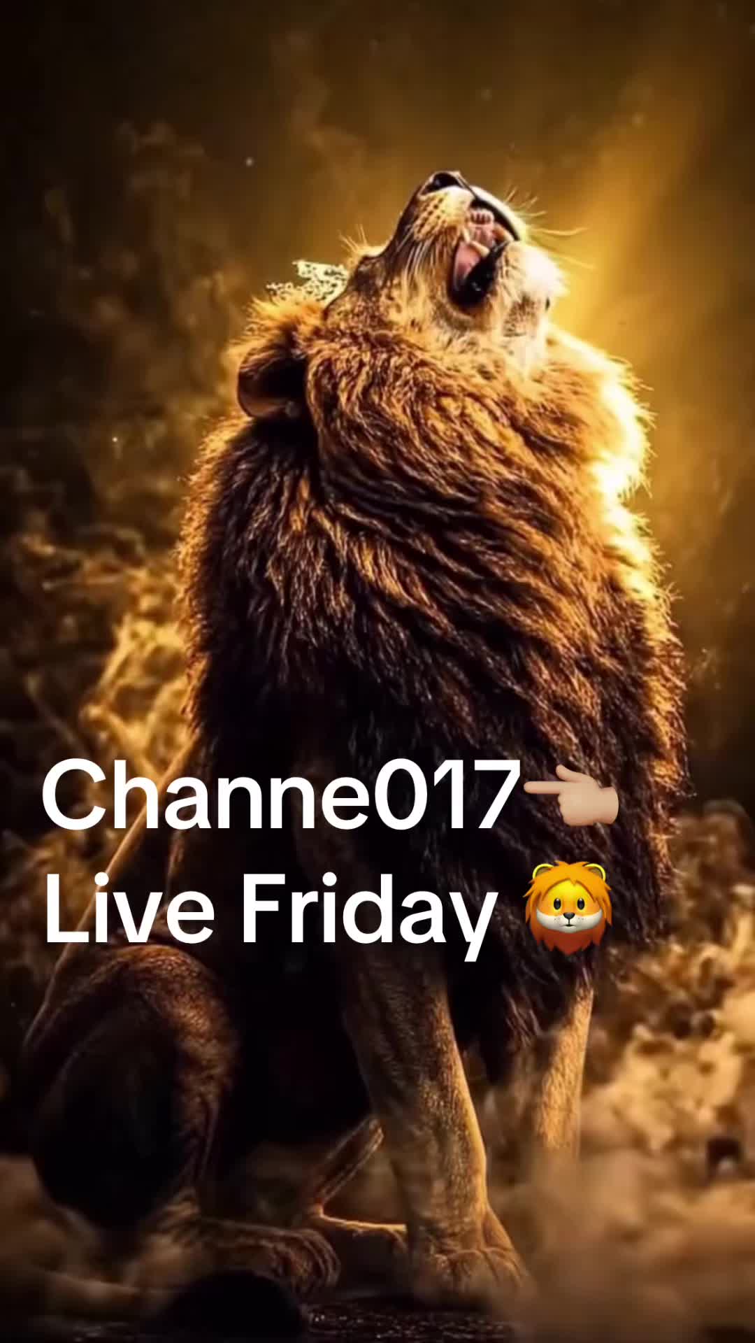 @Channe017