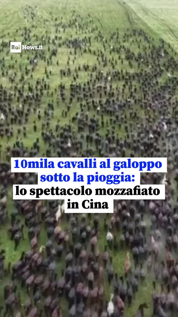 @RaiNews