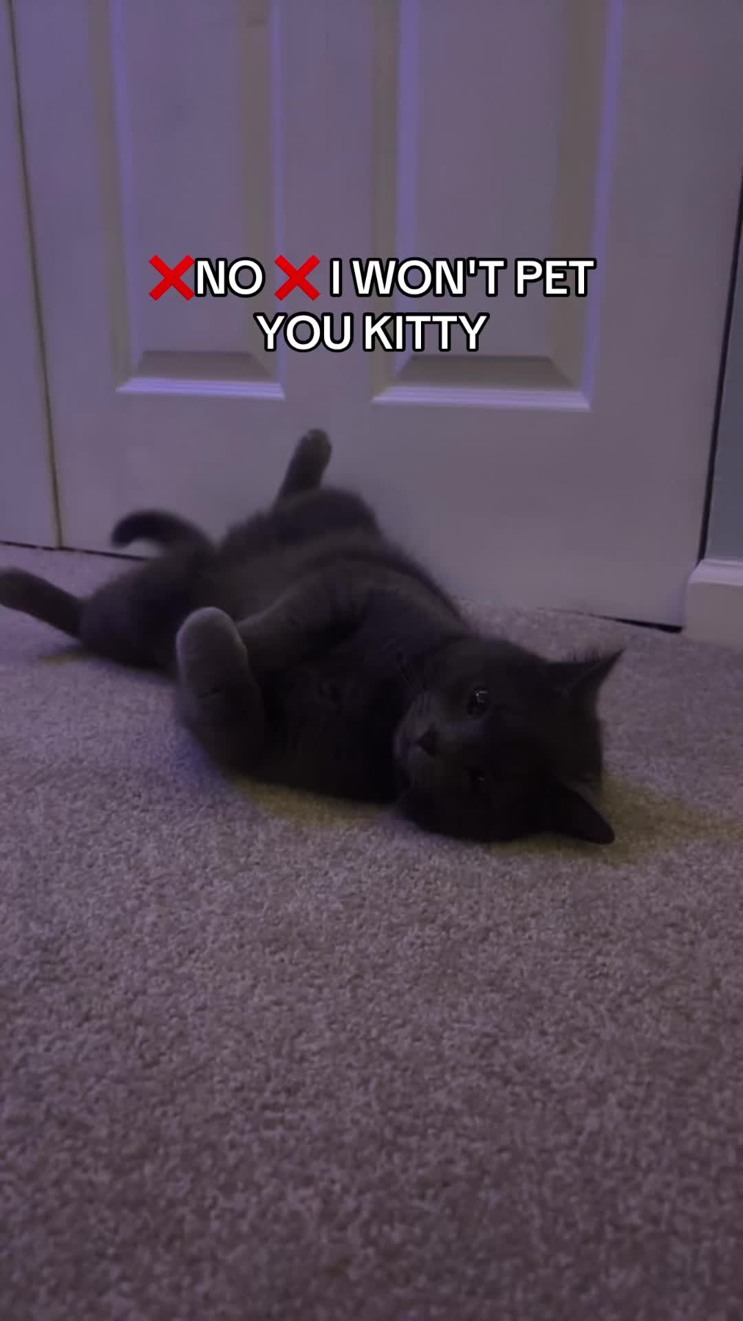 @ally