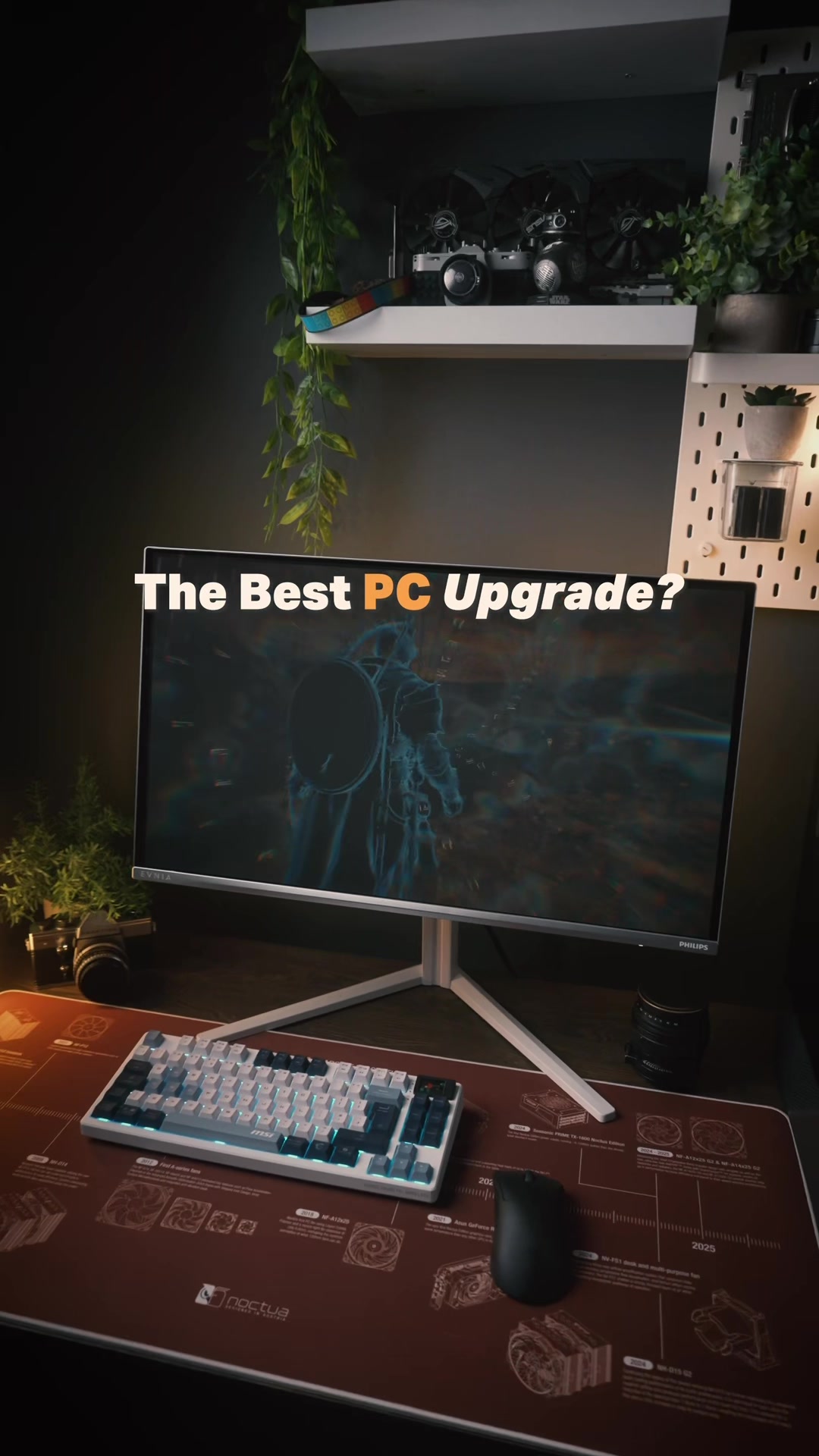 @ProYamYamPC