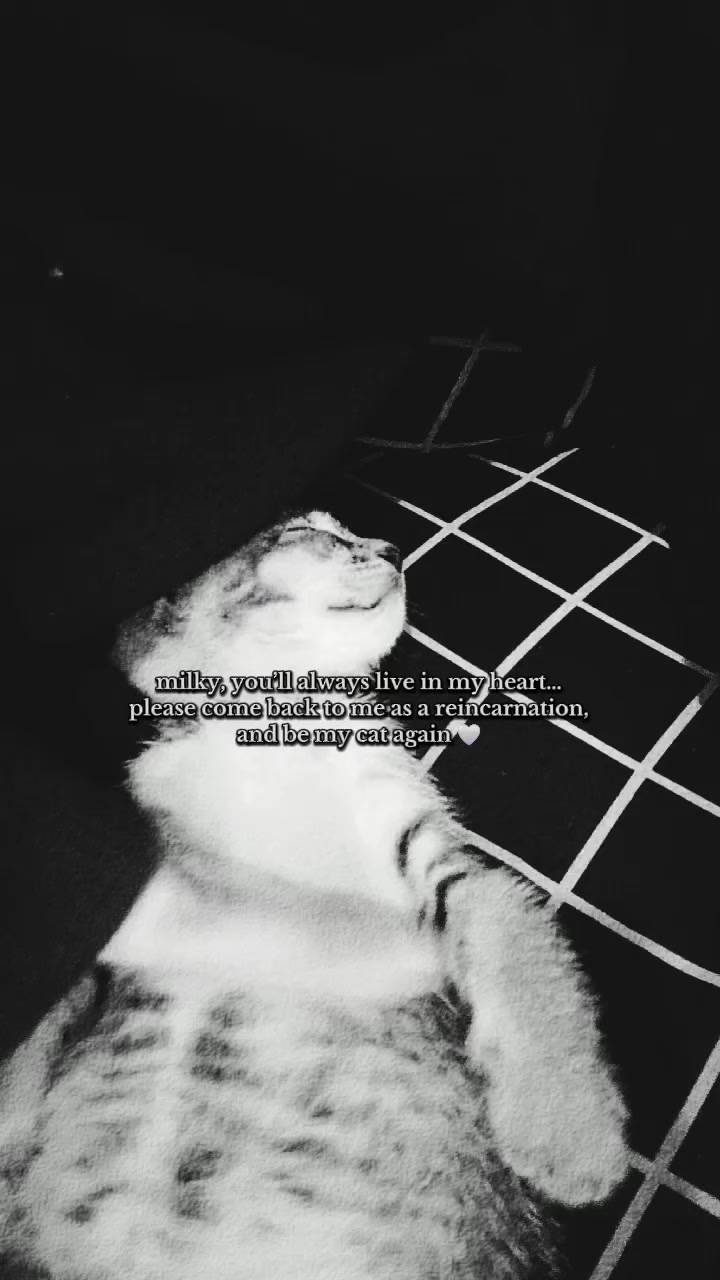 @โ. ๐ห ๐ต ๐ ๐ ๐ ๐๐ท